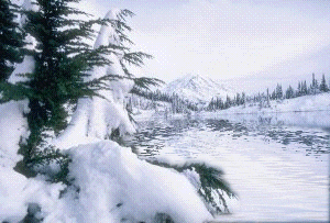 animierte-winter-bilder-4